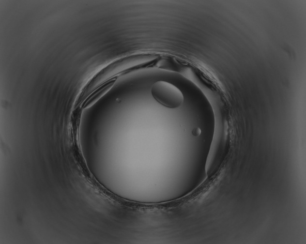 X0000090990876200708021520