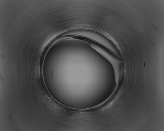 X0000090990877200708021519