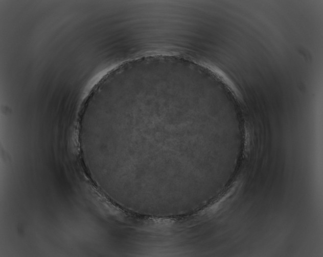 X0000090990878200708021519