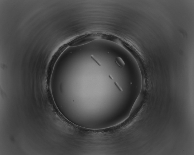 X0000090990880200708021519