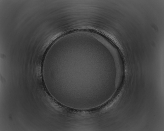 X0000090990881200708021519