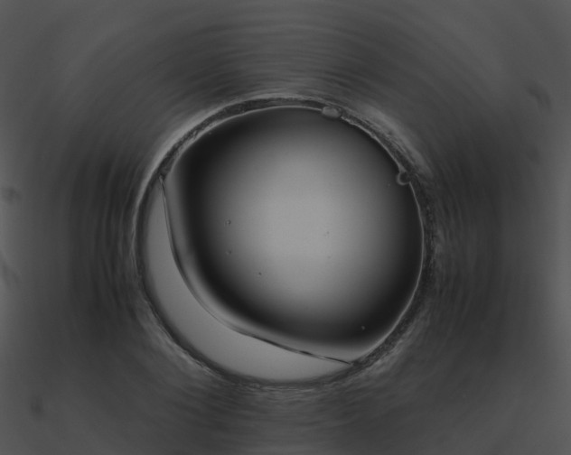 X0000090990884200708021519