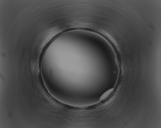 X0000090990885200708021519