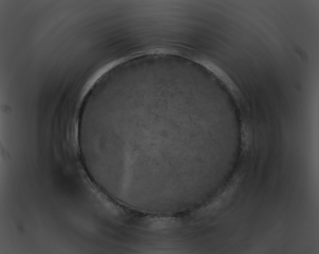 X0000090990886200708021519