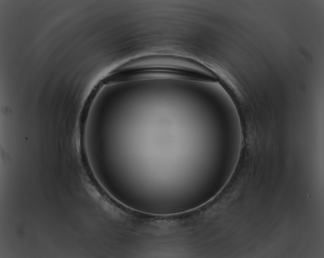 X0000090990888200708021519