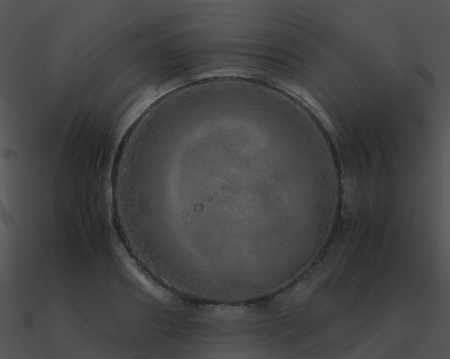 X0000090990890200708021519