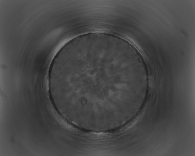 X0000090990891200708021519