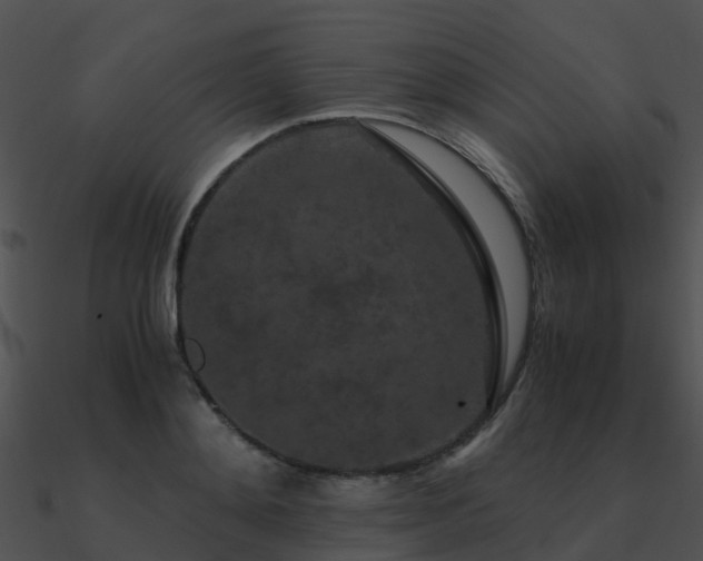 X0000090990892200708021519