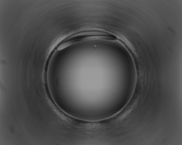 X0000090990893200708021519