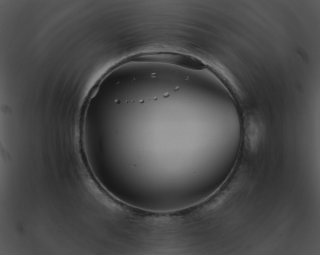 X0000090990896200708021519