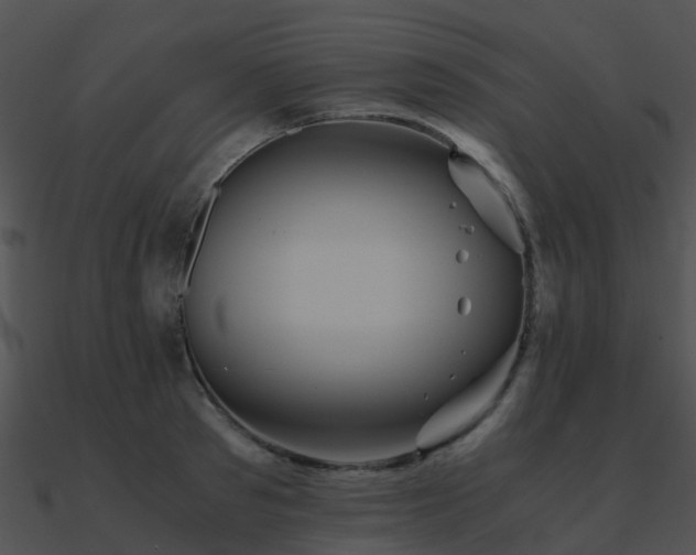 X0000090990897200708021519
