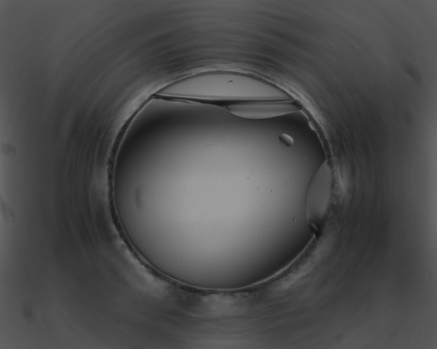 X0000090990898200708021519