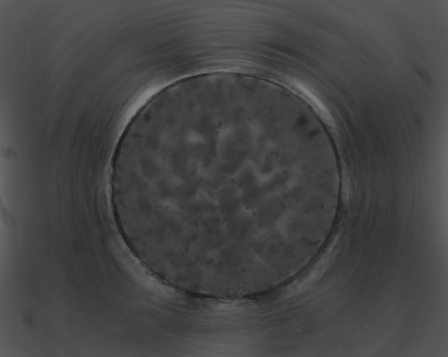 X0000090990899200708021519