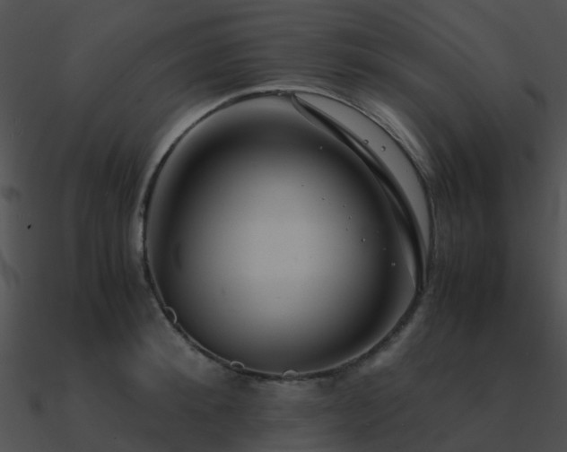 X0000090990900200708021519