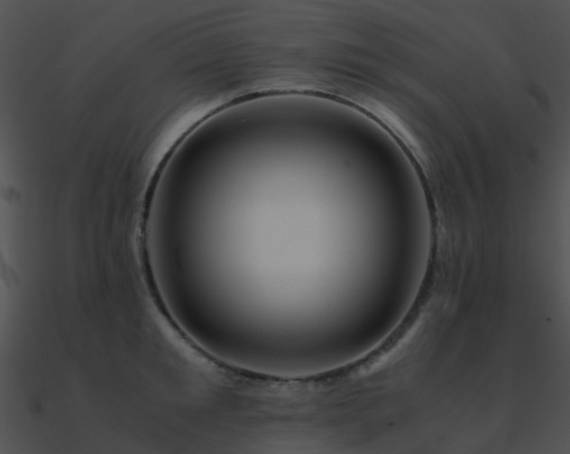 X0000090990901200708021519