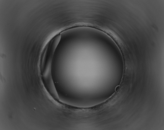 X0000090990902200708021519