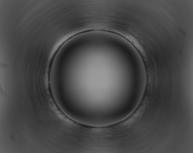 X0000090990904200708021519