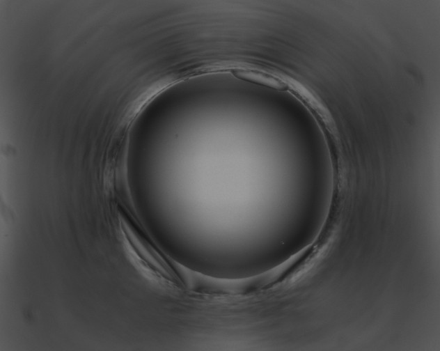 X0000090990905200708021519