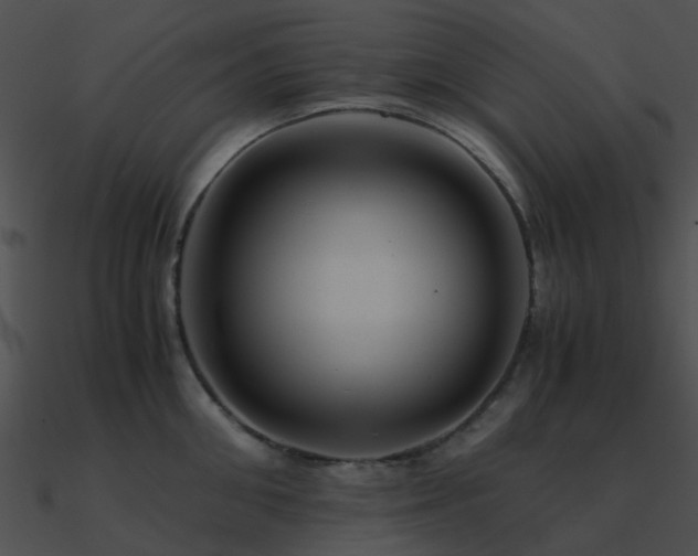 X0000090990906200708021519
