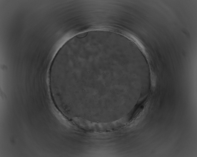 X0000090990907200708021519