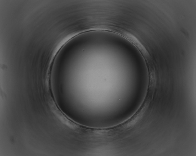 X0000090990908200708021519