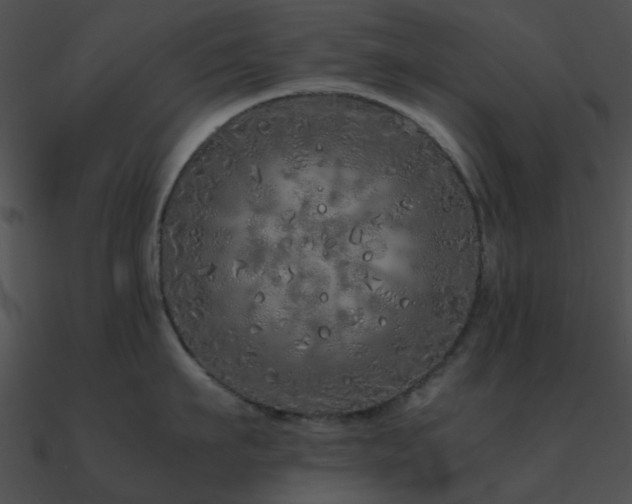 X0000090990911200708021519