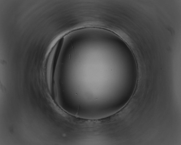 X0000090990912200708021519