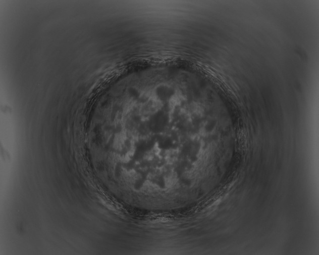 X0000090990913200708021518