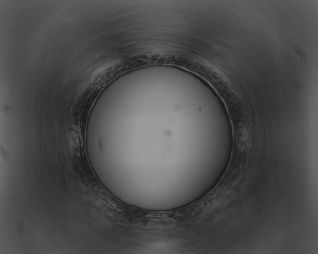 X0000090990918200708021518
