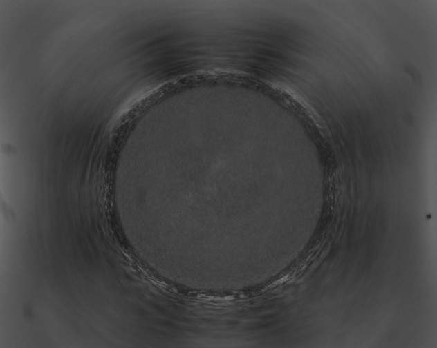 X0000090990919200708021519