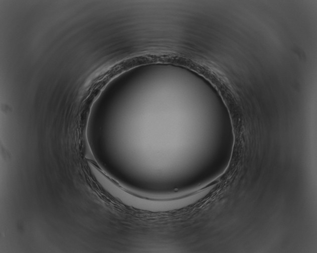 X0000090990920200708021519