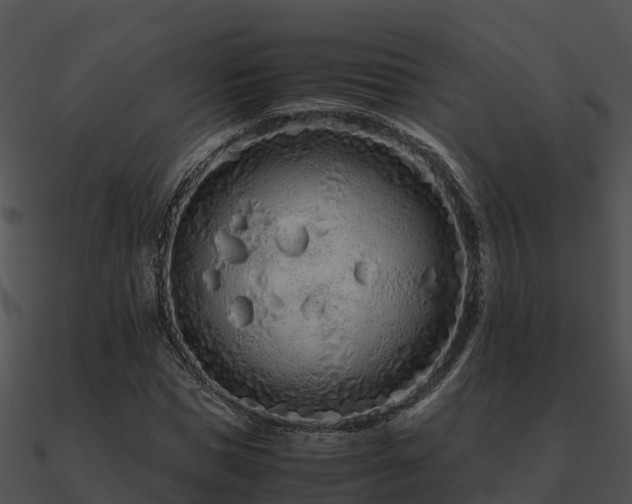 X0000090990921200708021519