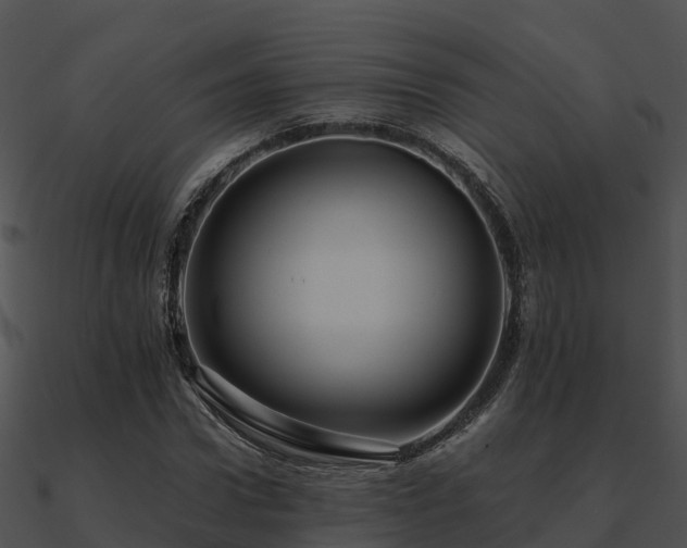 X0000090990922200708021519