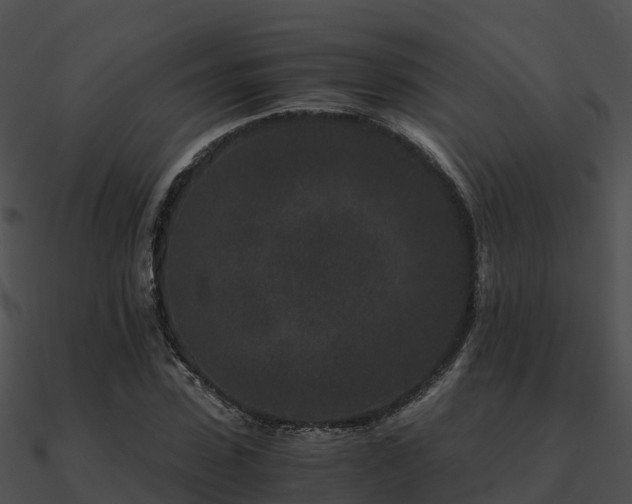 X0000090990923200708021519