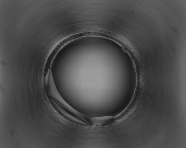 X0000090990924200708021519