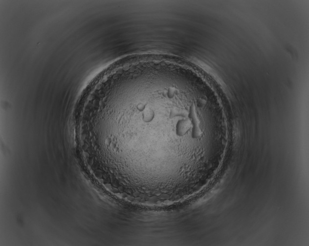 X0000090990925200708021519