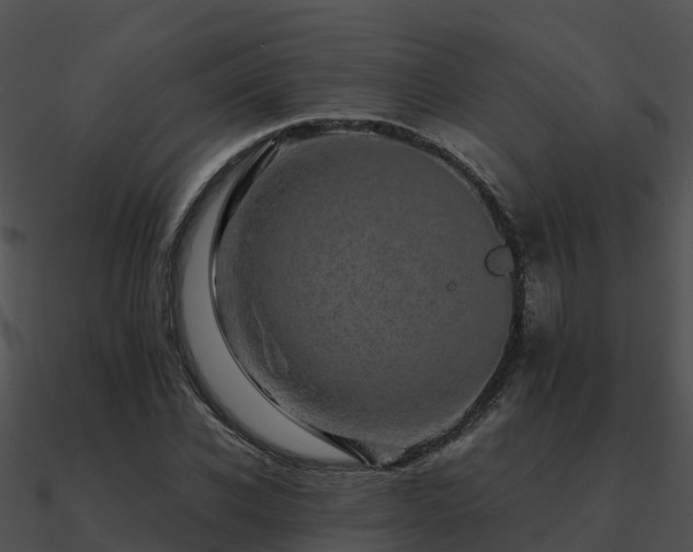 X0000090990926200708021519