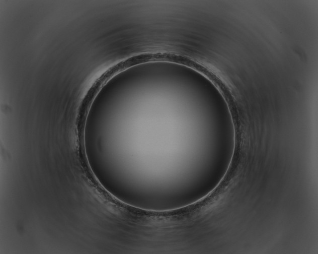 X0000090990927200708021519