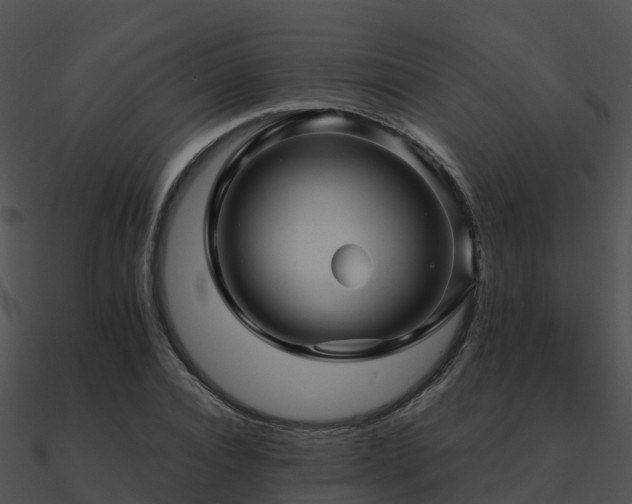 X0000090990928200708021519