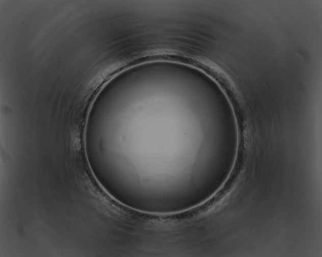 X0000090990929200708021519