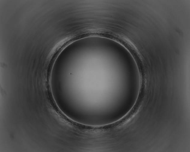 X0000090990930200708021519