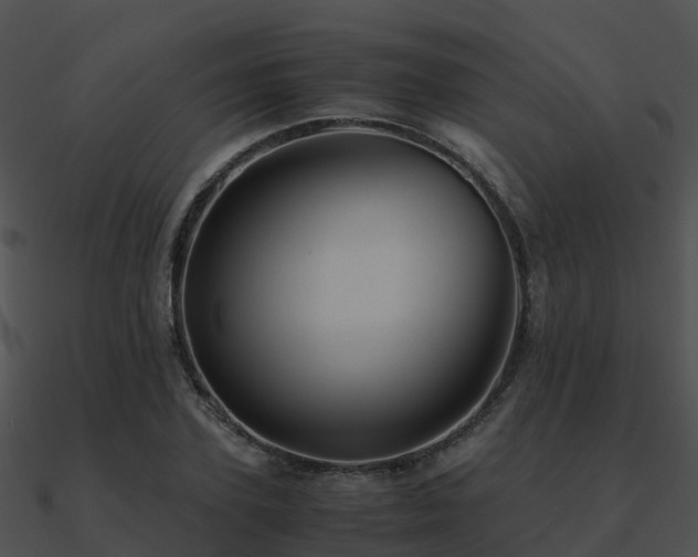 X0000090990931200708021519