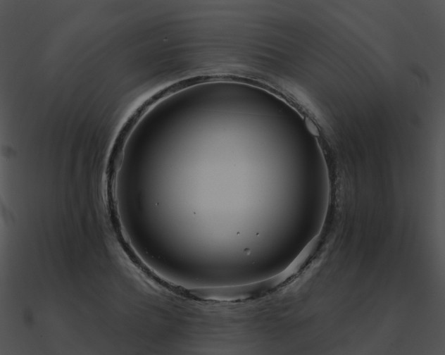 X0000090990932200708021519