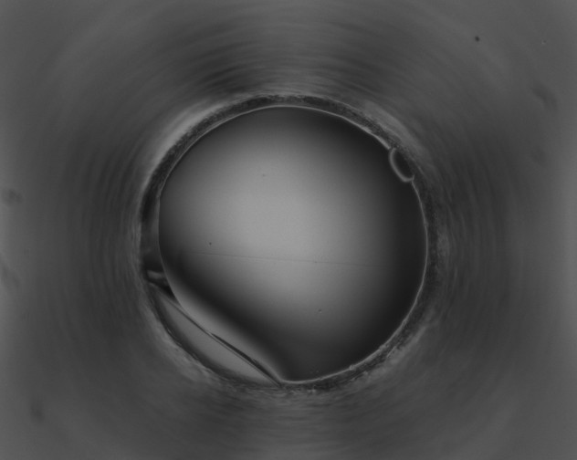 X0000090990934200708021519