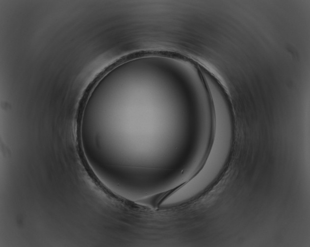 X0000090990935200708021519