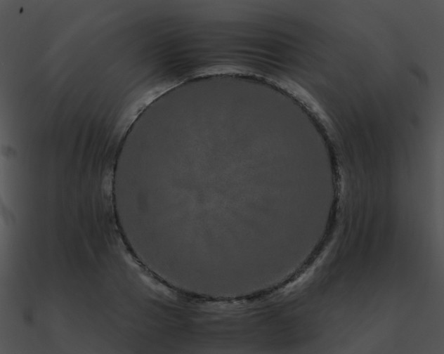 X0000090990937200708021519