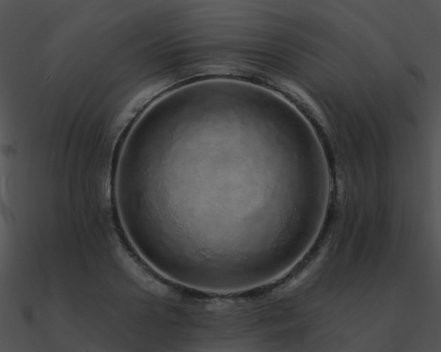 X0000090990938200708021519