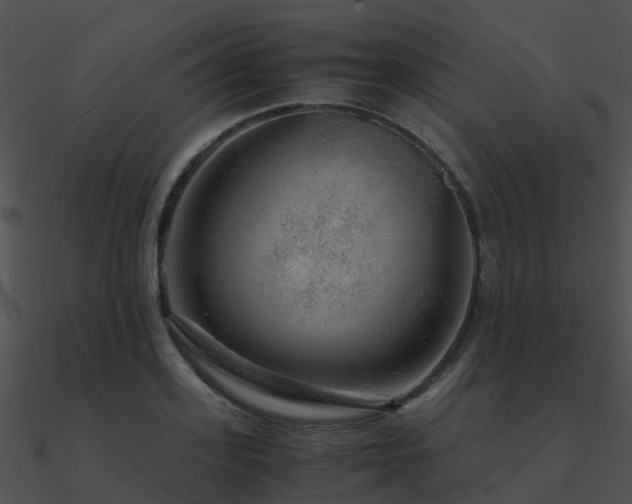 X0000090990939200708021519
