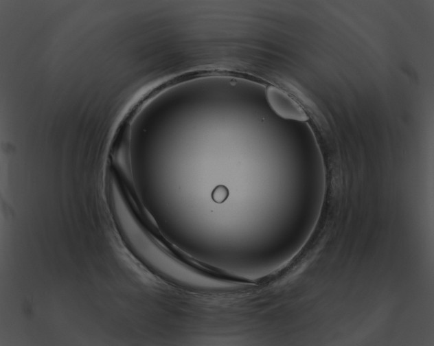 X0000090990940200708021519