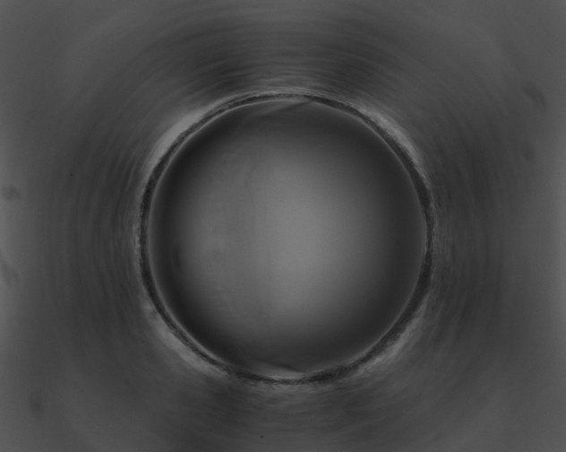 X0000090990941200708021519